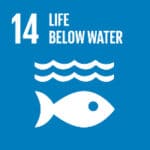 United Nations Sustainable Development Goals UN SDG 14 Life Below Water - logo