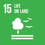 United Nations Sustainable Development Goals UN SDG 15 Life On Land - logo