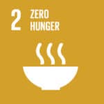 United Nations Sustainable Development Goals UN SDG 2 Zero Hunger - logo