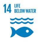 United Nations Sustainable Development Goals UN SDG 14 Life Below Water - logo