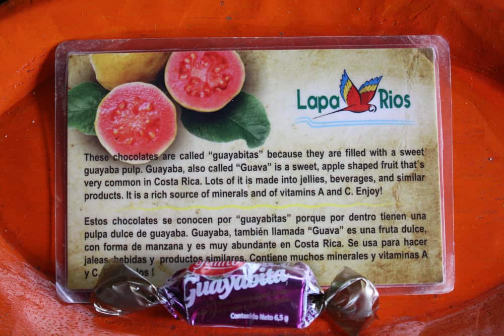 Guayabitas chocolate, Lapa Rios, Costa-Rica