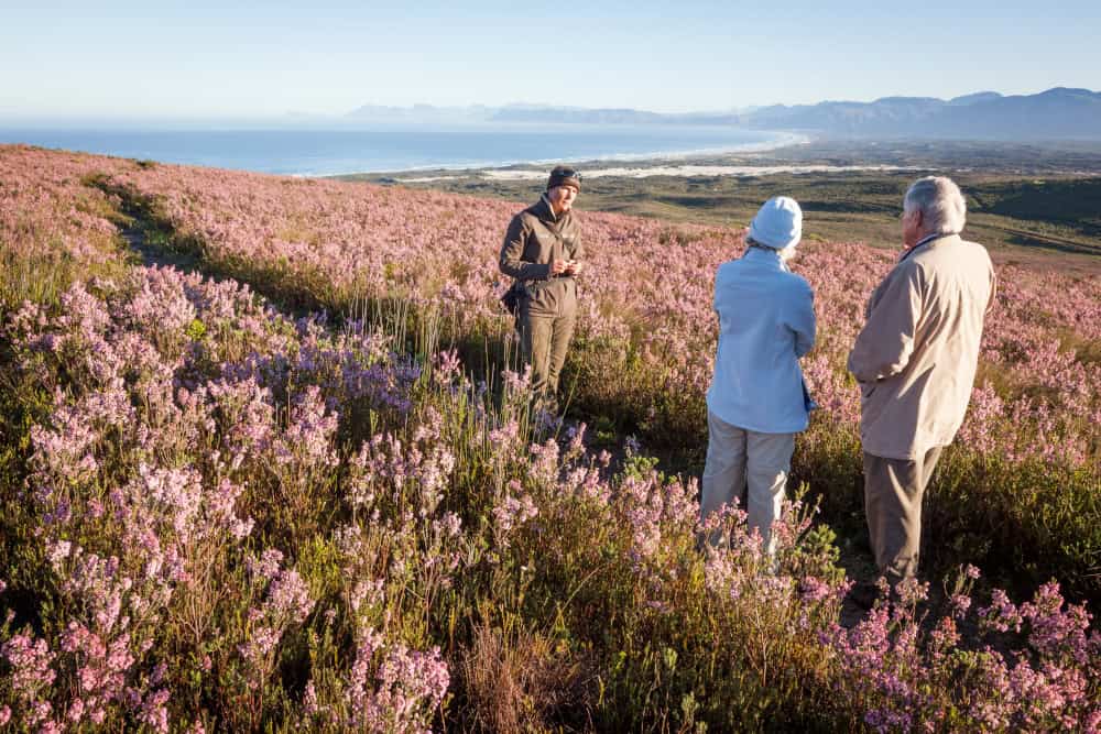 Fynbos hikes & walks experiences at Grootbos, South Africa