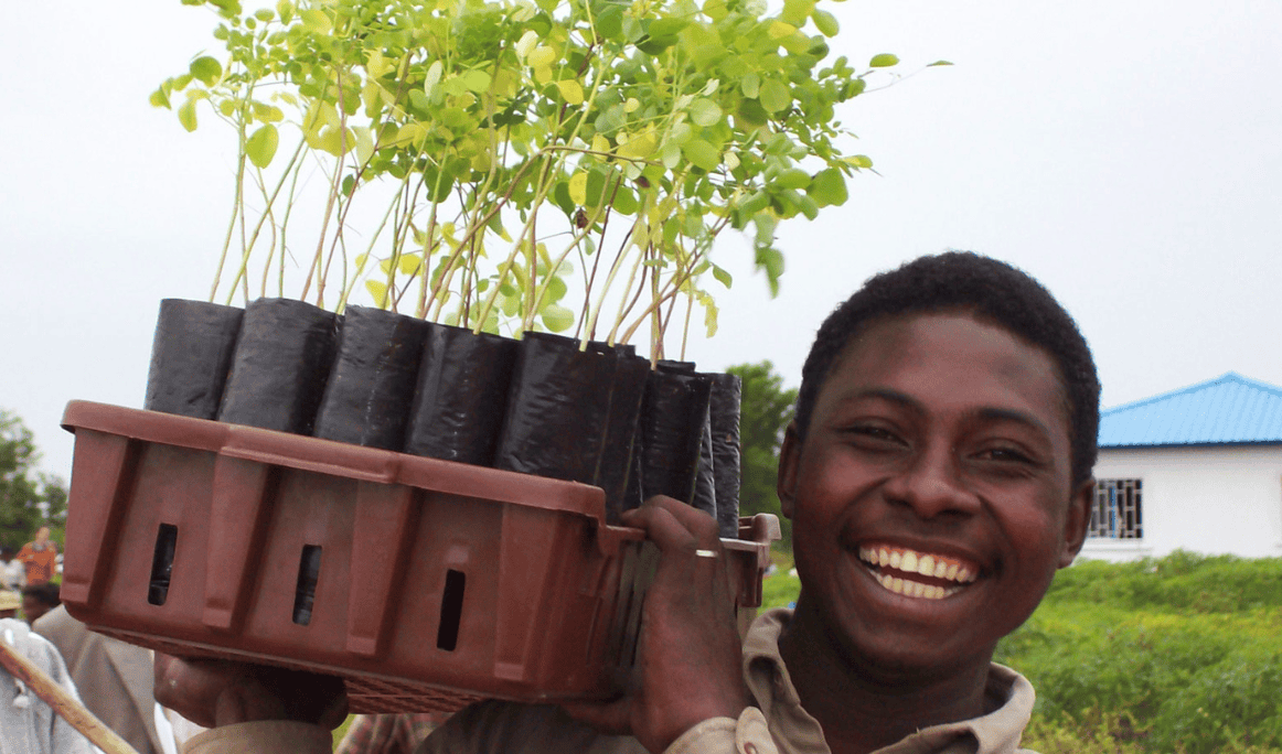 Young man with moringa, Madagascar - SEED Madagascar-