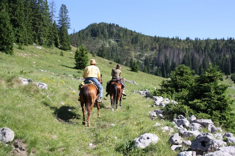 Croatia horse ride