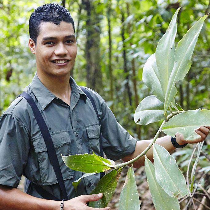 Costa-Rica-Lapa-Rios-activities-guide-leaf