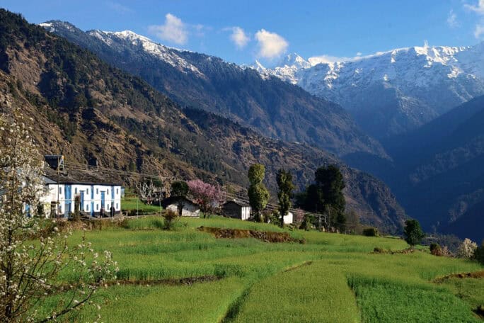 India-Village-Ways-Early-morning-Supi-village