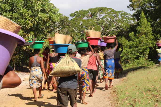 Madagascar-SEED-Madagascar-Feb-2024-Community-members-carry-palms-from-nursery-to planting-site11-Sainte-Luce-Charlie-Reid-1000x667