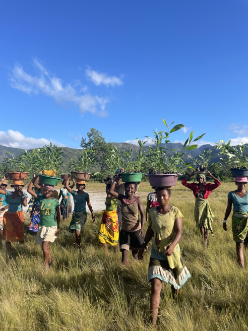 Madagascar-SEED-Madagascar-Women-running-while-carrying-plants-March-2025-500x667