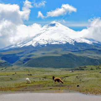 Ecuador by mauricio munoz on unsplash