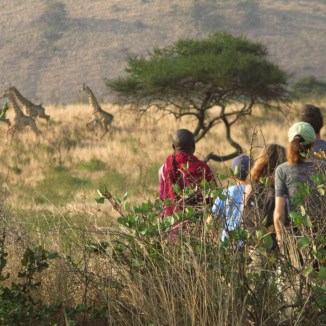 Campi ya Kanzi, Arusi walk, Kenya
