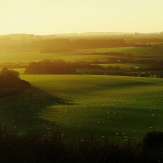 UK by george hiles on unsplash