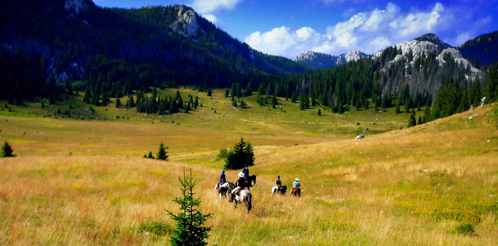 Horse riding at UNESCO biosphere in Croatia at Linden Tree-Retreat & Ranch