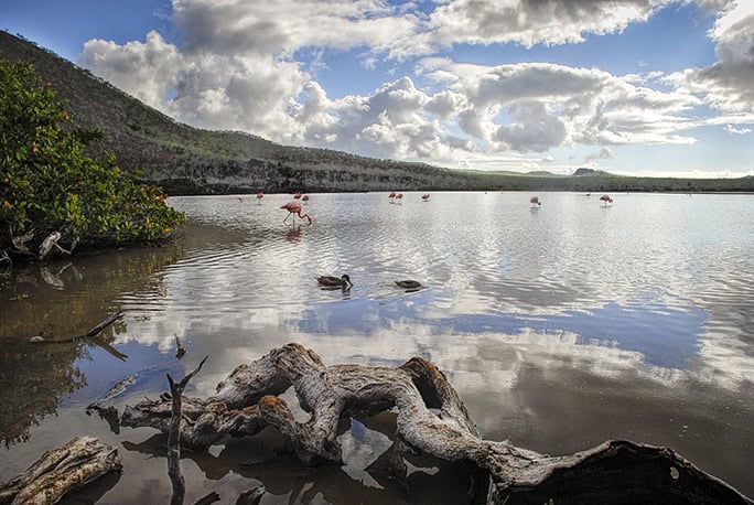 Galapagos Conservation Trust - Coastal landscape - Floreana Island, Galapagos ©Henri-Leduc