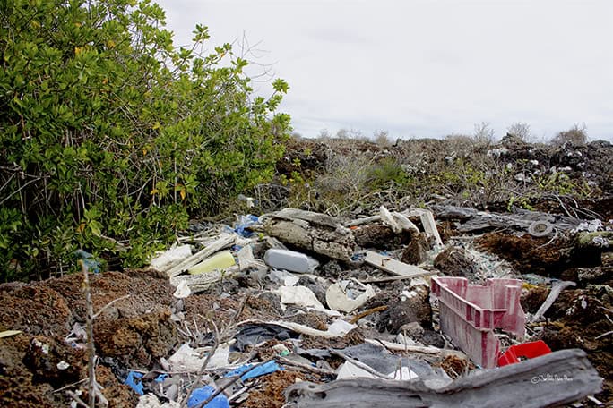 Galapagos Conservation Trust - Plastics © JP-Munoz