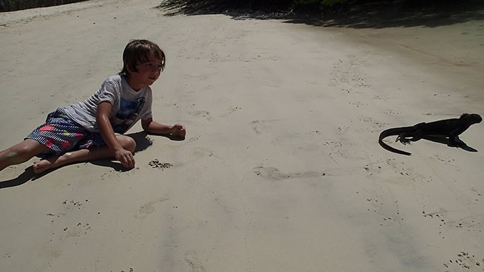Galapagos iguana + boy on beach