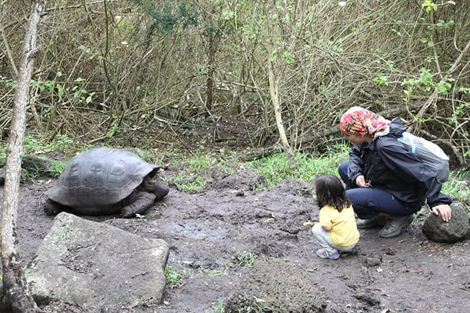 Galapagos-Floreana-Tropic-Giant-Tortoise, woman + child