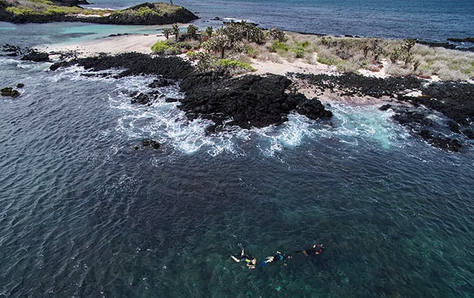 Galapagos-Floreana-Tropic-Snorkelling