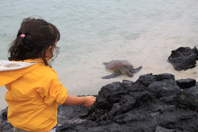 Galapagos-Floreana-Tropic-Turtle-Girl