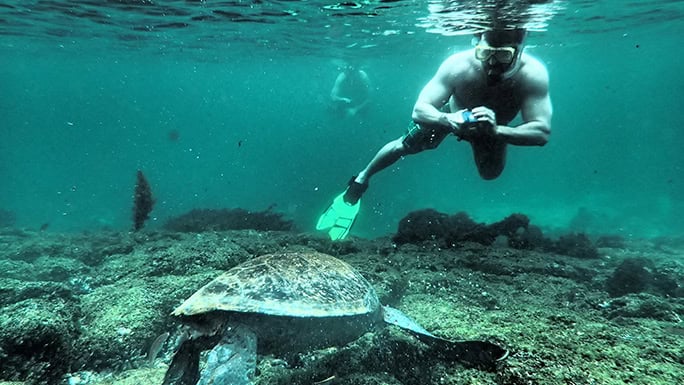 Galapagos-Floreana-Tropic-snorkel