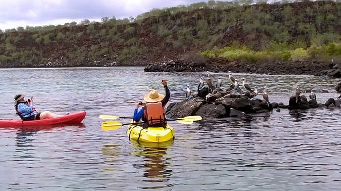 kayak-boobies, Galapagos Islands, Tropic Ecuador