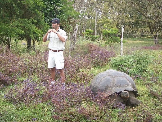 Galapagos-santa-cruz-Earth-Changers-duncan-guide-giant-tortoise ©-Vicky-Smith