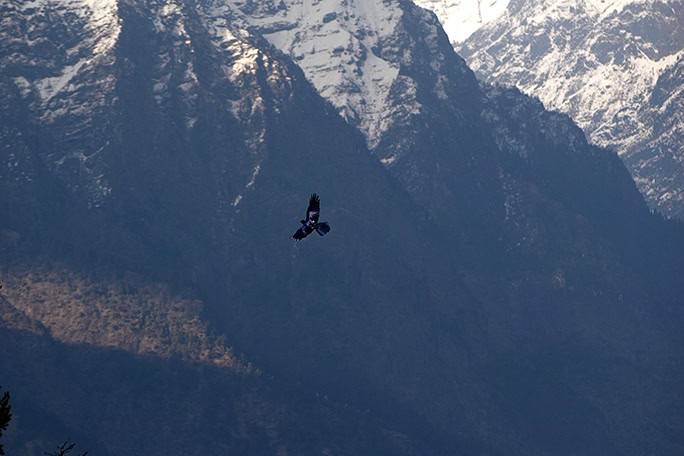 March 2016 trek in the Indian Himalayas with Villageways