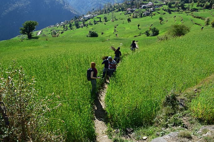 India Village Ways, hiking Himalayas - Supi village