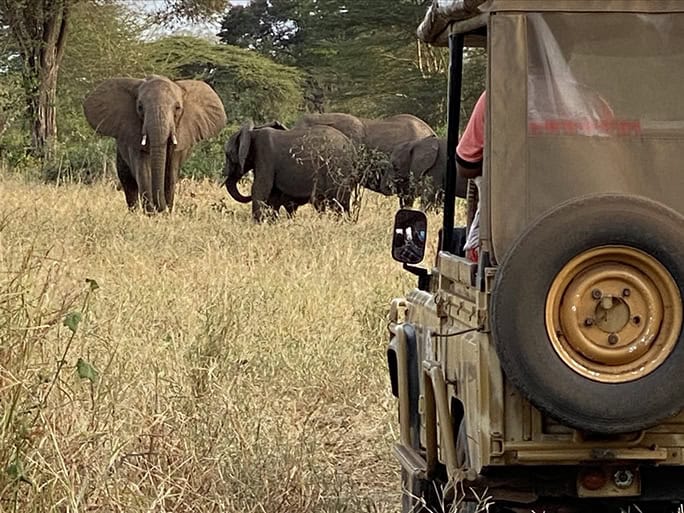 Kenya Campi ya Kanzi Chyulu Club elephants