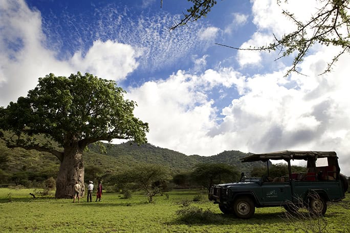 Kenya Campi ya Kanzi baobab game drive