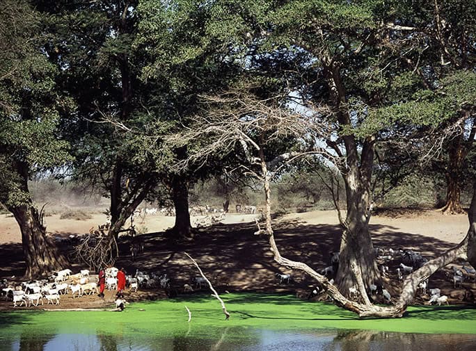 Maasai herder, water spring, Campi ya Kanzi, Kenya