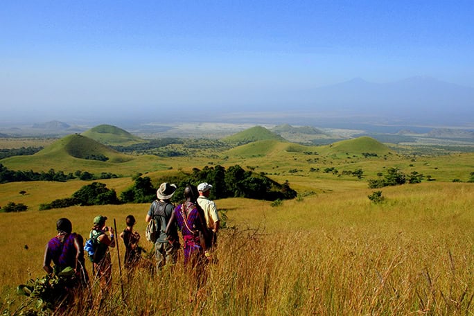 top walk, walking safaris, Campi ya Kanzi, Kenya