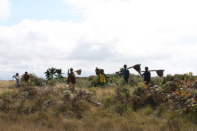 Malagasy livelihoods: Men carrying field-baskets, Madagascar (c) Earth Changers