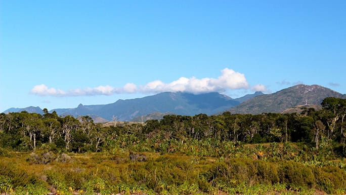 rainforest, sainte-luce, Madagascar, SEED Madagascar-