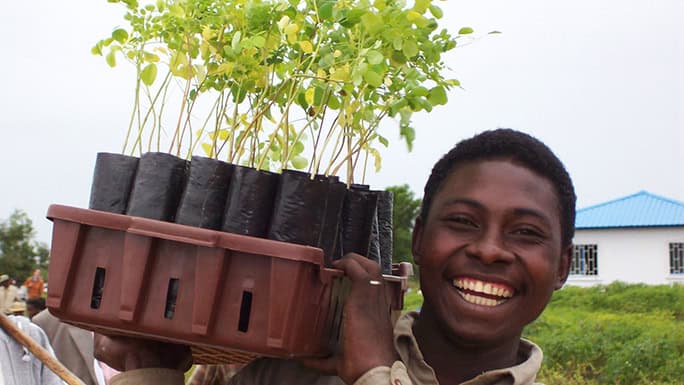 young Malagasy man with moringa, Madagascar, SEED Madagascar