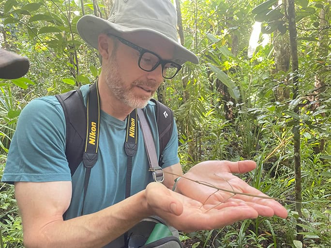Madagascar-stick-insect-©-Brielle-Mark-Hutchison-IMG_9443-684w