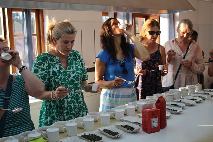 Malawi-Orbis-Womens-Expedition-tea-tasting