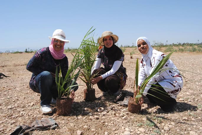 Morocco-Kasbah-du-Toubkal-Education-For-All-tree-planting
