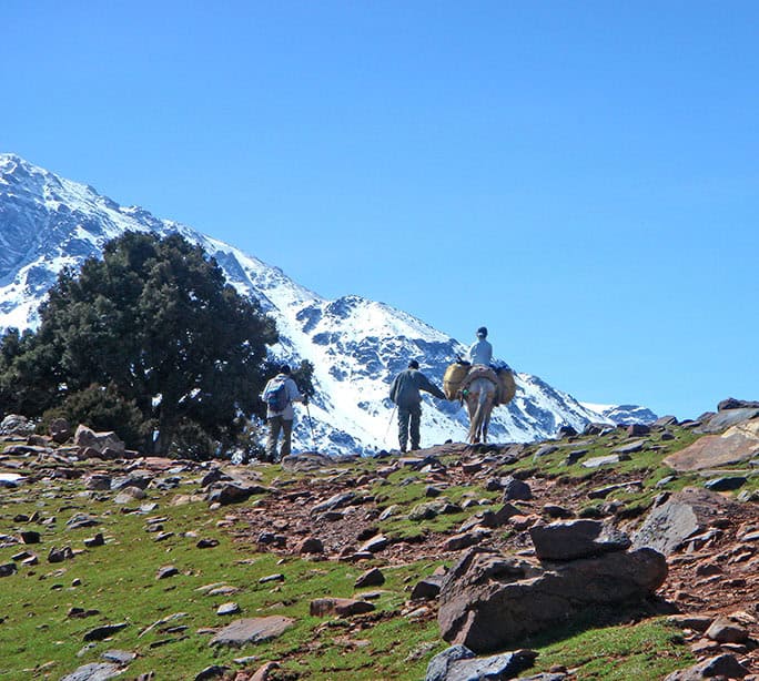 mule muleteer, High Atlas Mountains, Morocco