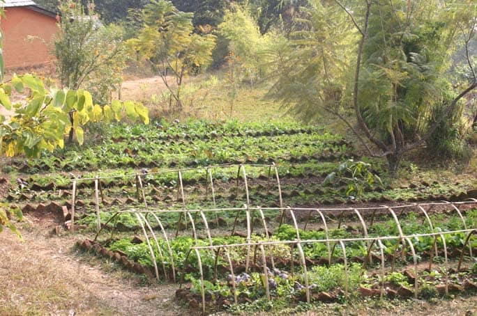 Nepal Tiger Mountain Pokhara Lodge Garden
