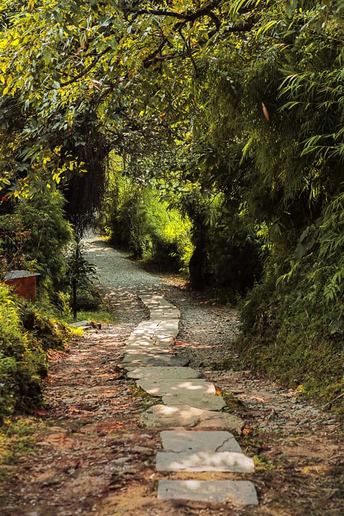 Nepal-Tiger-Mountain-Pokhara-Lodge-Path-to-rooms-2-684w
