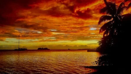 Sail the Oceans - Pangaea Explorations - Galapagos to Panama