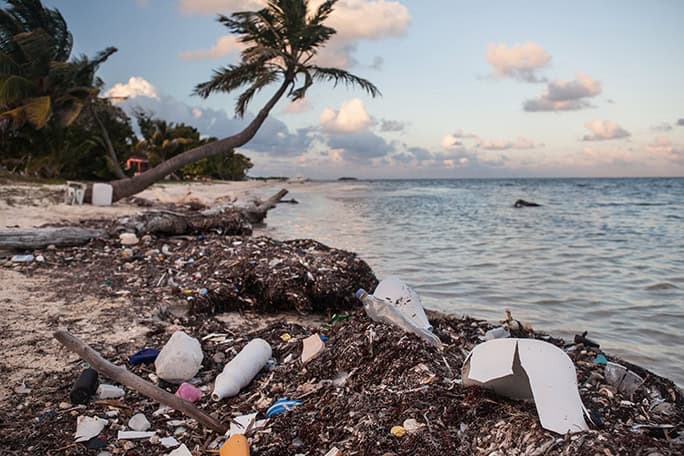 Oceans-Pangaea-Exploration sailing expeditions Plastic Pollution beach by the Ocean