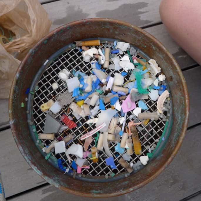 Oceans-Pangaea-Exploration sailing expeditions trawl Plastic Pollution