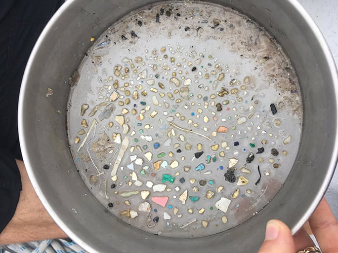 Oceans Pangaea Exploration sailing expedition Research plastic-sample-mantra-trawl-North-Pacific-Gyre