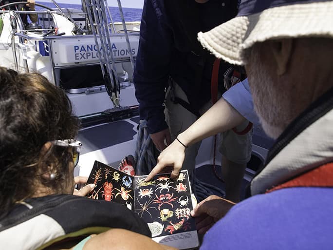 citizen science volunteer tourism: ocean conservation