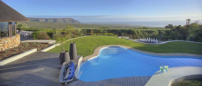 Accommodation pool, Grootbos Nature Reserve - Western Cape - South Africa