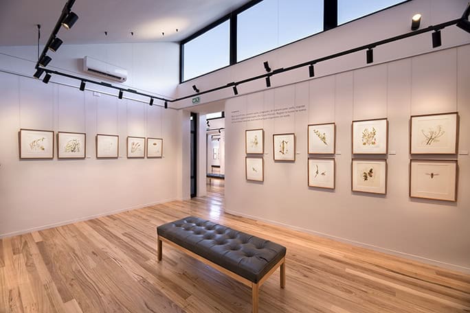 conservation culture South Africa Grootbos Florilegium HWB Art Gallery