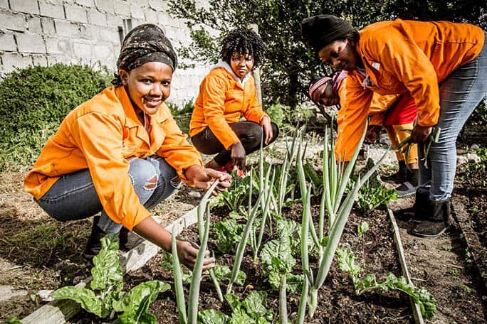 Growing the future at Grootbos-Foundation, South Africa