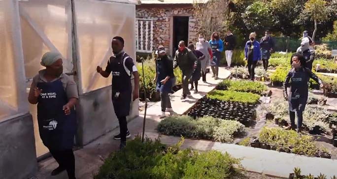 South Africa Grootbos Foundation dance Jerusalema, Siyakhula - Growing the Future - food garden, Grootbos Nature Reserve - Western Cape - South Africa