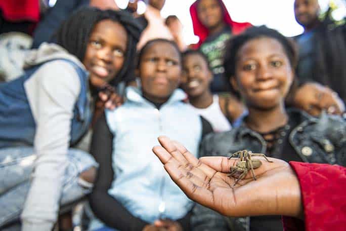 Conservation education, Grootbos Nature Reserve, Western Cape, South Africa
